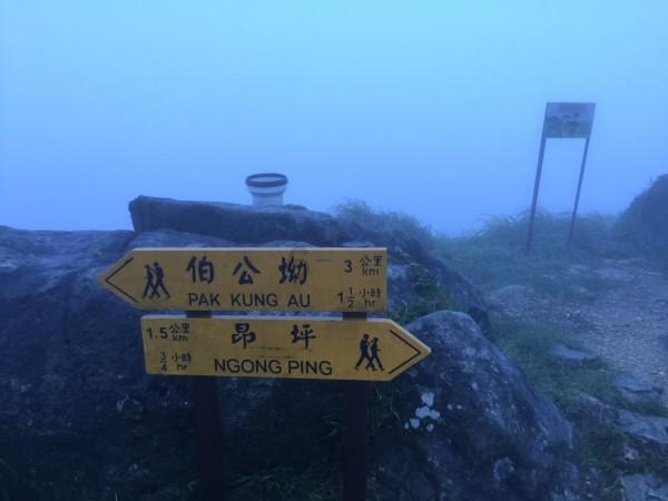 海底世界填颜色4